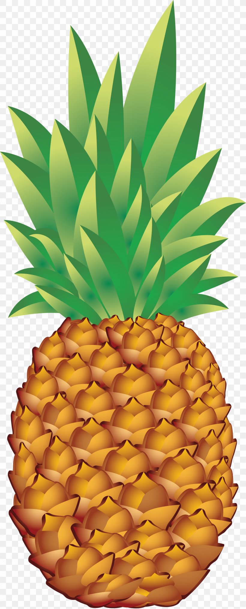 Pineapple Clip Art, PNG, 1716x4243px, Juice, Ananas, Bromeliaceae, Food, Fruit Download Free