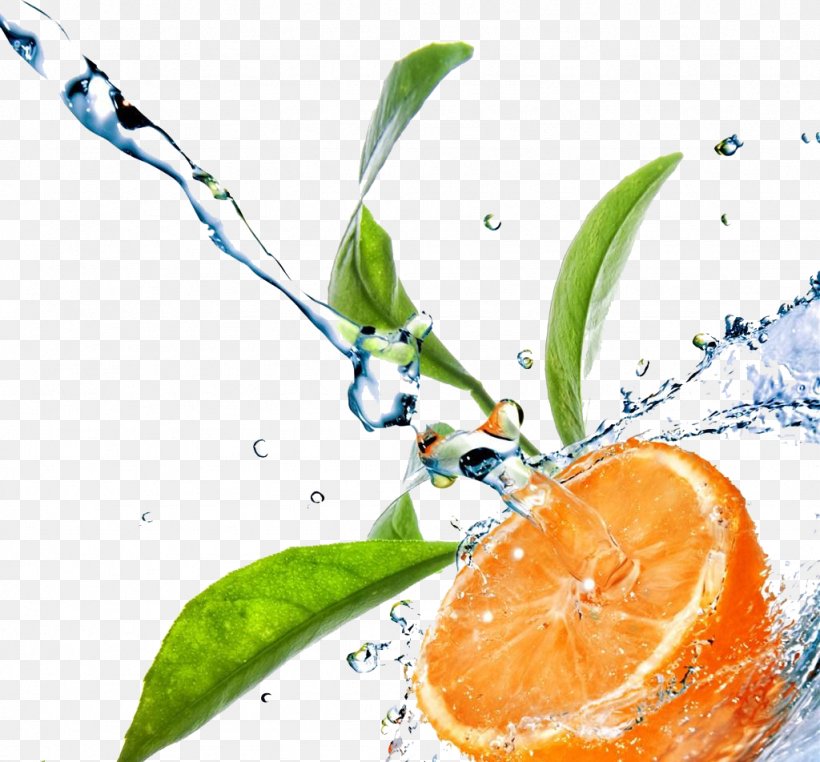 Stock Photography Leaf Drop Water Green, PNG, 1024x952px, Stock Photography, Citrus, Drop, Food, Fotosearch Download Free