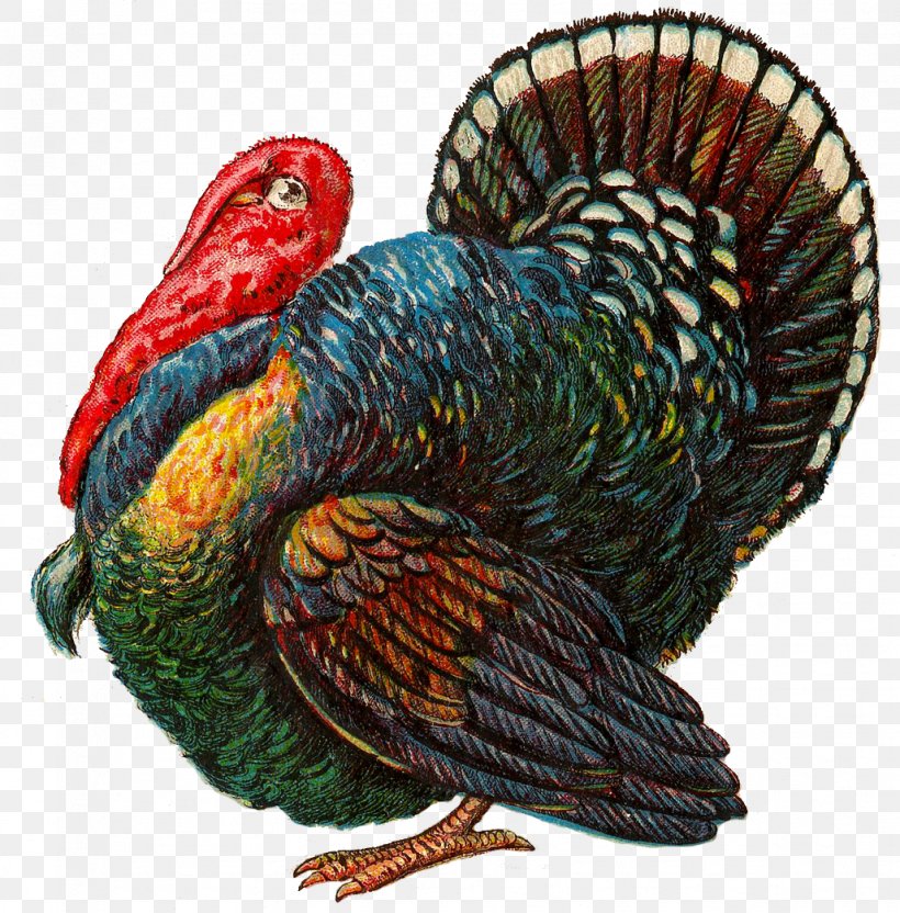 Thanksgiving Turkey Meat Vintage Clothing Clip Art, PNG, 1028x1044px, Thanksgiving, Art, Beak, Bird, Chicken Download Free