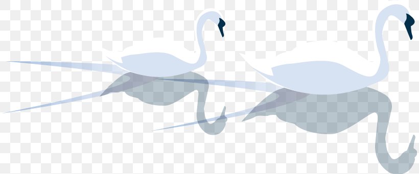 Water Bird Duck Logo, PNG, 812x341px, Water Bird, Anatidae, Beak, Bird, Brand Download Free