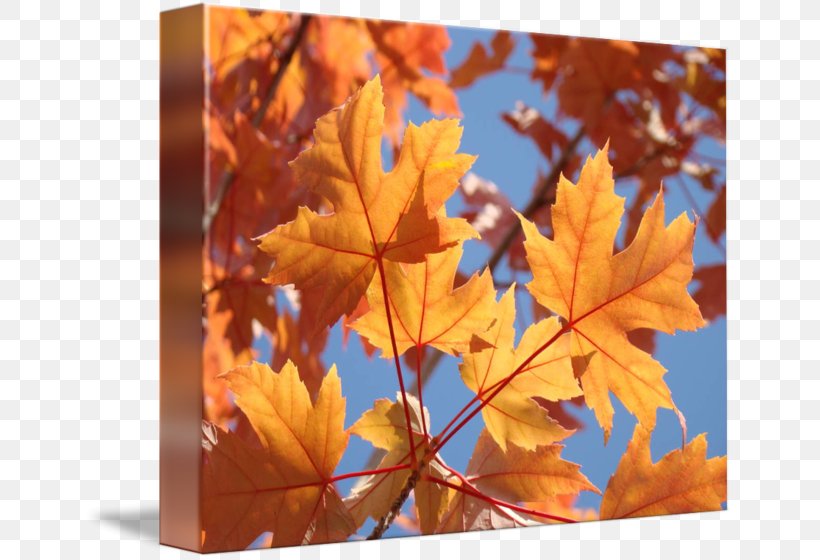 Zazzle Greeting & Note Cards Post Cards Paper Wedding Invitation, PNG, 650x560px, Zazzle, Autumn, Birthday, Gift, Greeting Note Cards Download Free