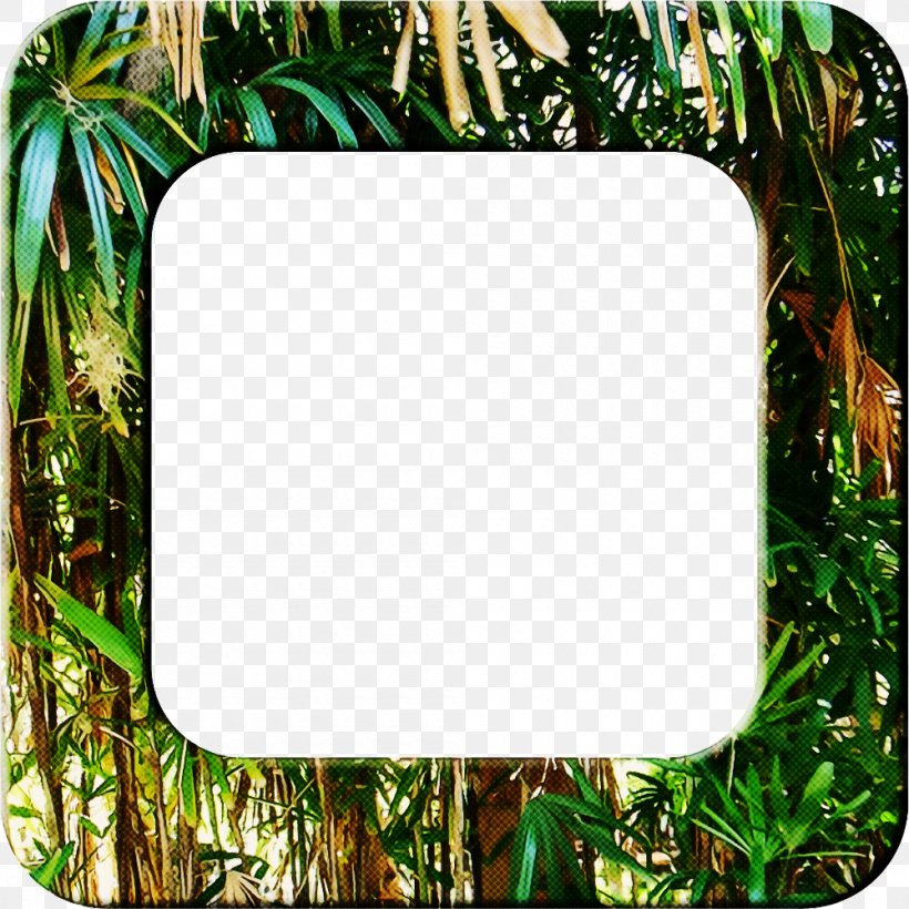 Background Green Frame, PNG, 1000x1000px, Tropics, Grass, Grasses, Green, Jungle Download Free