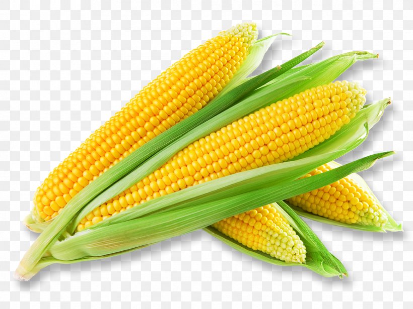 Corn Soup Corn Chowder Creamed Corn Corn On The Cob Sweet Corn, PNG, 1164x873px, Corn Soup, Chicken Soup, Commodity, Corn Chowder, Corn Kernel Download Free