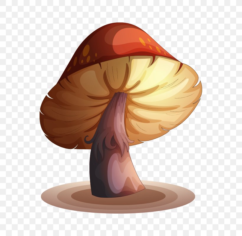 Edible Mushroom Drawing Illustration, PNG, 800x800px, Mushroom, Agaricus Campestris, Cartoon, Drawing, Edible Mushroom Download Free