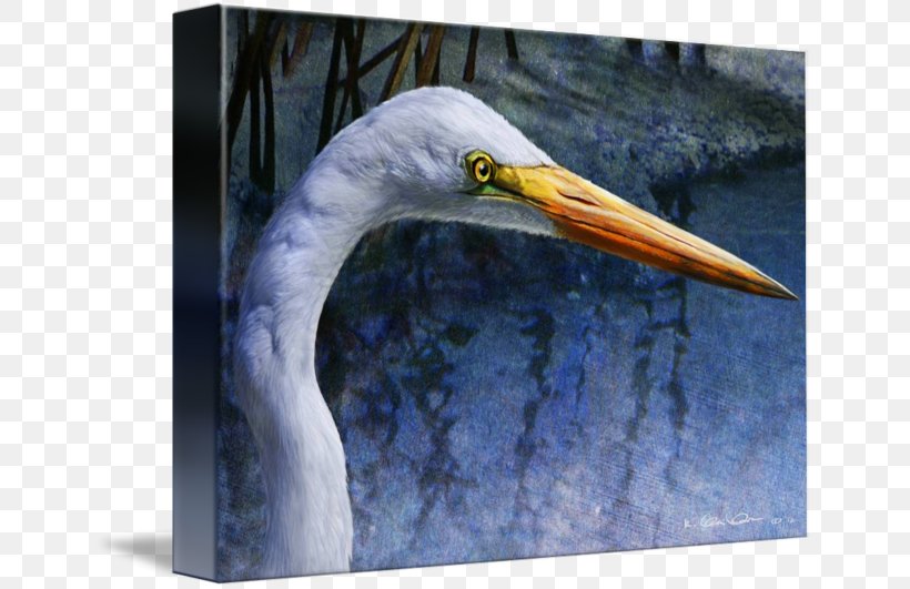 Egret Beak Stork Feather Animal, PNG, 650x531px, Egret, Animal, Beak, Bird, Ciconiiformes Download Free