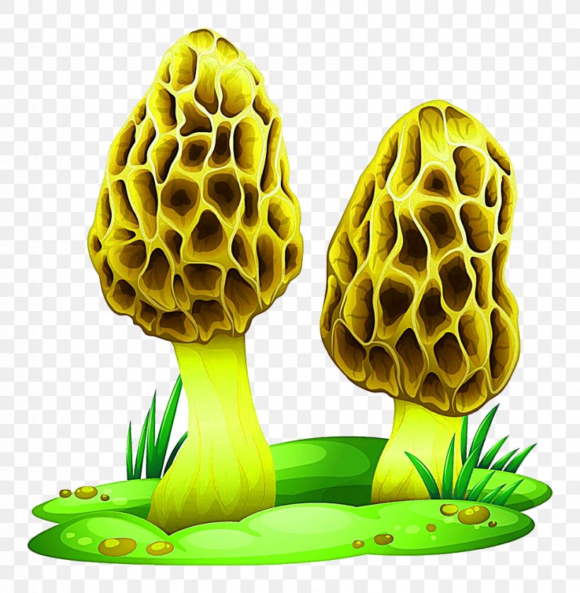Mushroom Transparency And Translucency Fungus Illustration, PNG, 977x1000px, Mushroom, Edible Mushroom, Fungus, Morchella, Organism Download Free