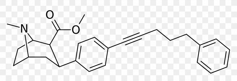 Phenyltropane Dopamine Transporter Norepinephrine Transporter Serotonin Transporter, PNG, 1900x650px, Watercolor, Cartoon, Flower, Frame, Heart Download Free