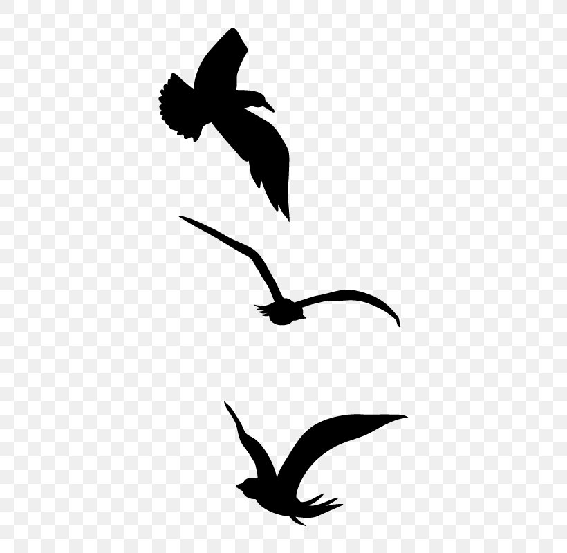 Eagle Feather Beak Silhouette Clip Art, PNG, 800x800px, Eagle, Artwork, Beak, Bird, Bird Of Prey Download Free