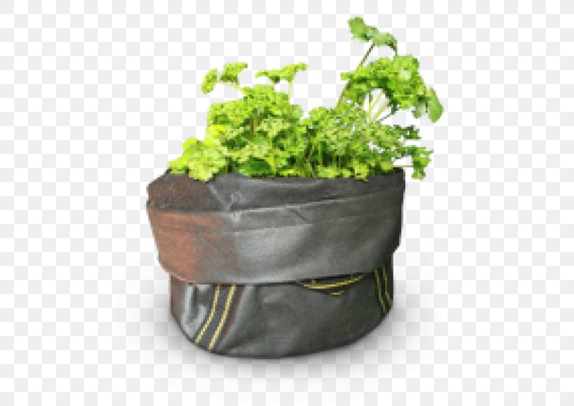Flowerpot Herb, PNG, 500x580px, Flowerpot, Herb, Leaf Vegetable, Plant Download Free