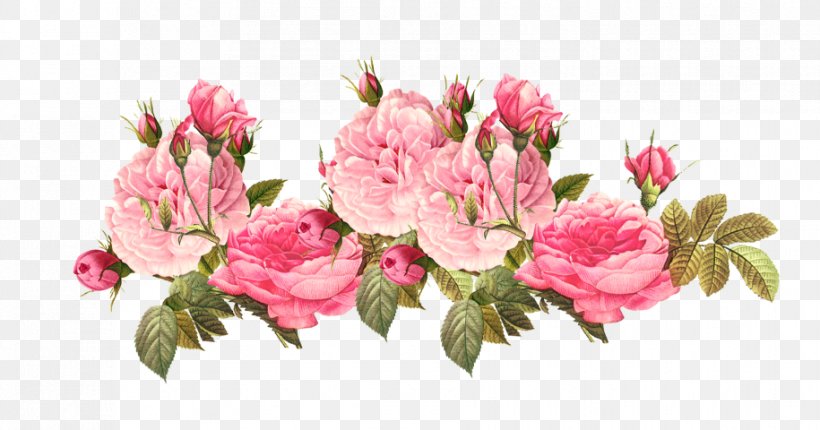 Pink Flowers Rose Clip Art, PNG, 915x480px, Flower, Azalea, Blossom, Branch, Color Download Free