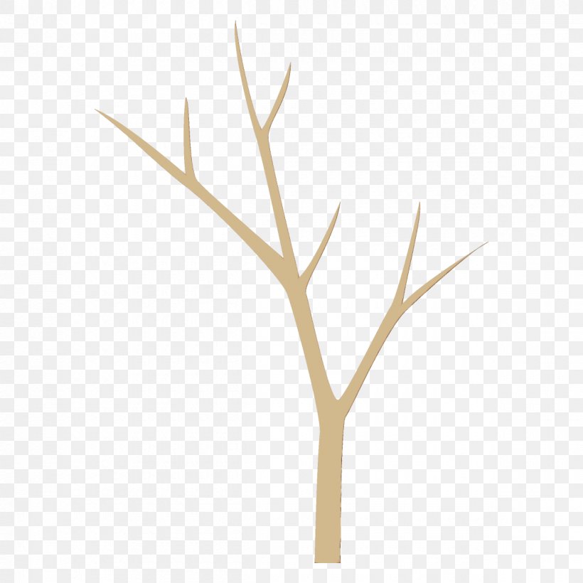 Branch Twig Plant Leaf Tree, PNG, 1200x1200px, Watercolor, Branch, Grass, Leaf, Paint Download Free