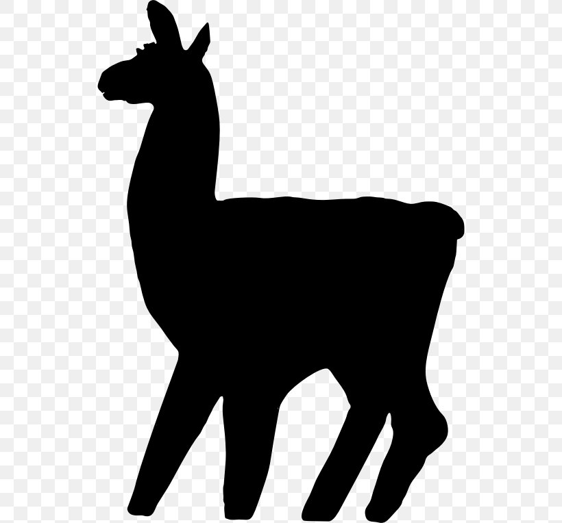 Llama Alpaca Clip Art, PNG, 536x764px, Llama, Alpaca, Black, Black And White, Camel Download Free