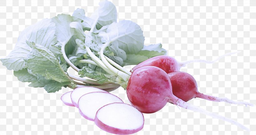 Radish Vegetable Food Turnip Plant, PNG, 3000x1585px, Radish, Flower, Food, Leaf Vegetable, Plant Download Free