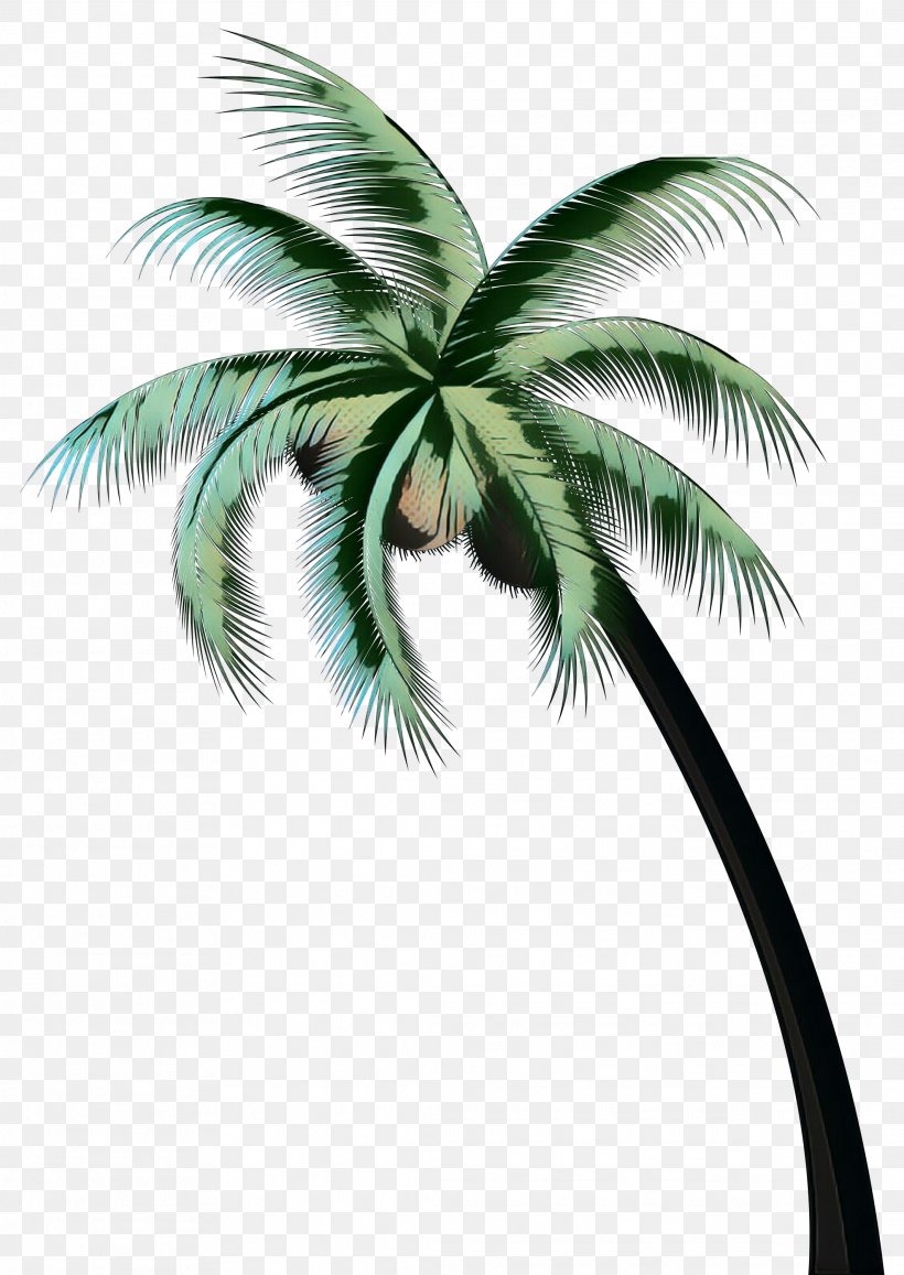 Asian Palmyra Palm Espace Choco Mayor Of Port Bouet Organization Hambol, PNG, 2126x3000px, Asian Palmyra Palm, Abidjan, Arecales, Art, Attalea Speciosa Download Free