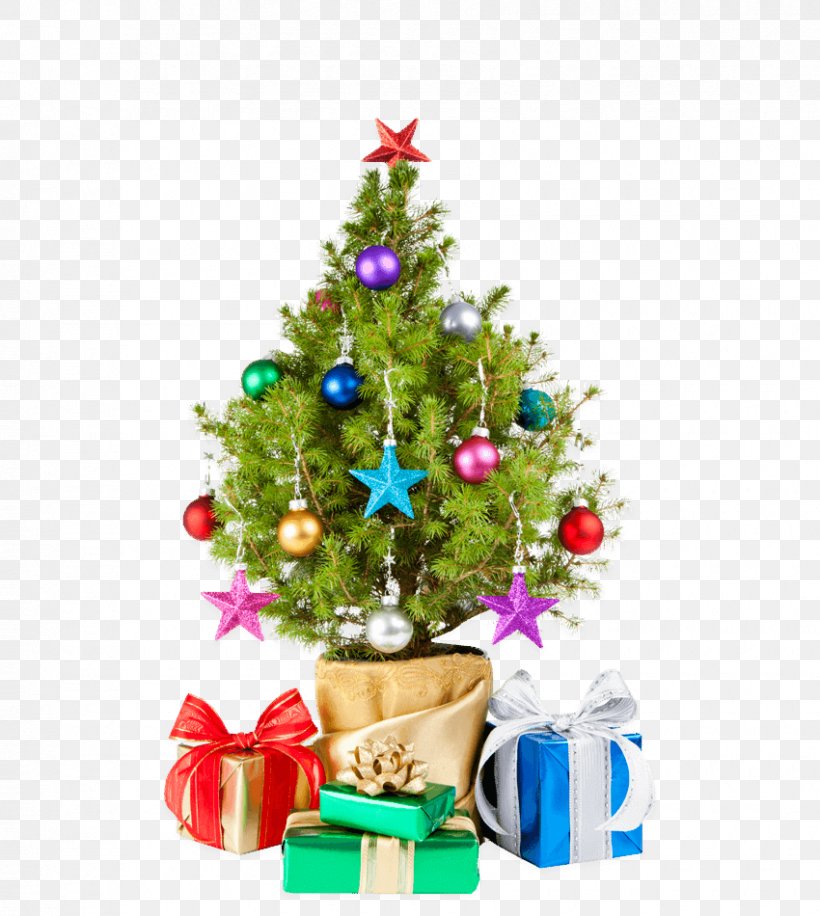 Christmas Tree, PNG, 850x950px, Christmas Tree, Christmas, Christmas Decoration, Christmas Ornament, Colorado Spruce Download Free