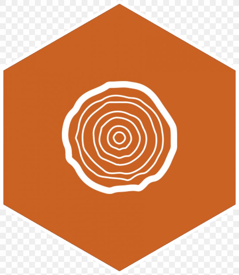 Circle Brand Angle Pattern, PNG, 850x980px, Brand, Area, Orange, Rectangle, Spiral Download Free
