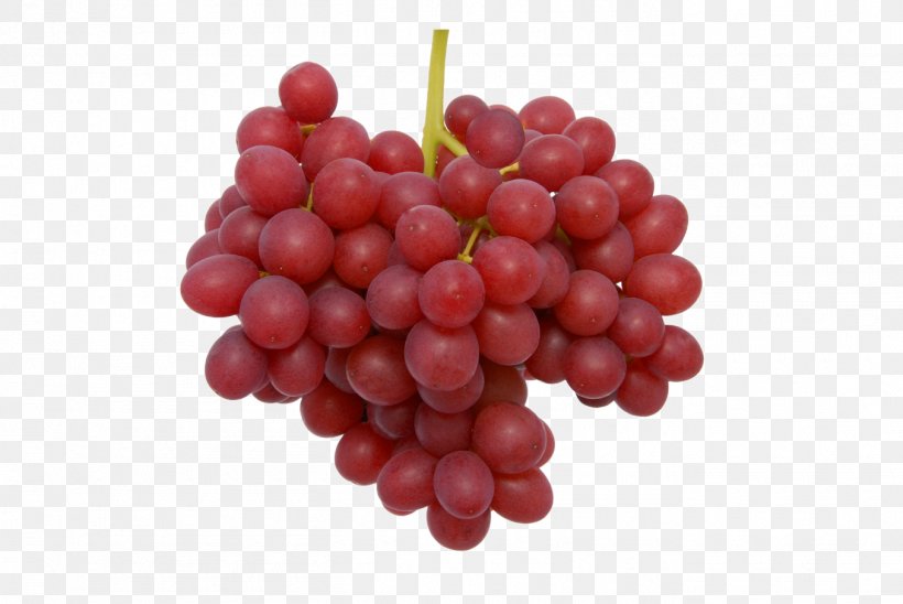 Common Grape Vine Sultana Table Grape Seedless Fruit, PNG, 1355x907px, Common Grape Vine, Autumn Royal, Berry, Cranberry, Flame Seedless Download Free