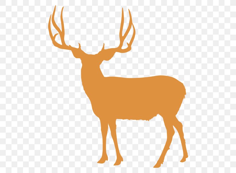 Elk White-tailed Deer Reindeer Utah, PNG, 600x600px, Elk, Antler, Biggame Hunting, Deer, Deer Hunting Download Free