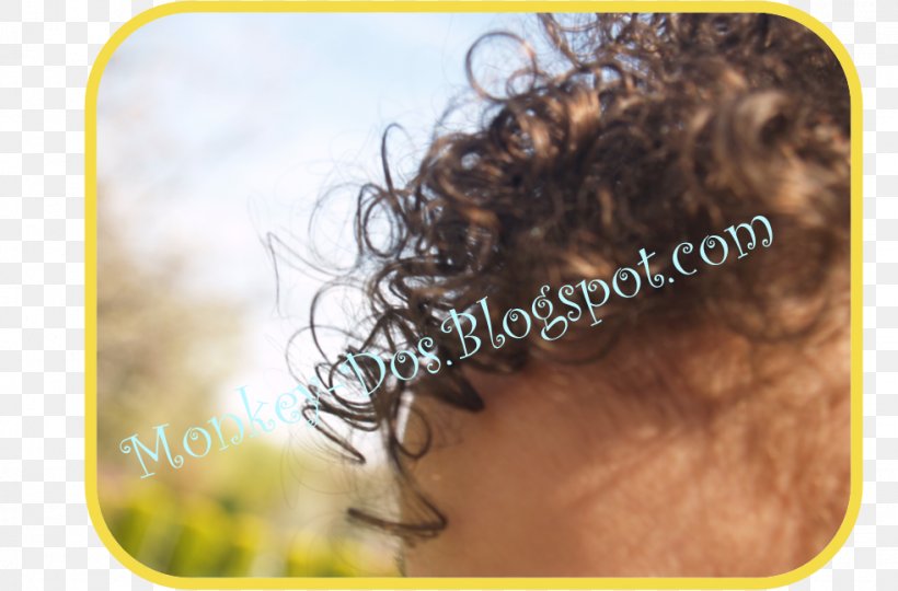 Long Hair Hair Coloring Black Hair Homo Sapiens, PNG, 982x647px, Long Hair, Black Hair, Brown, Eyelash, Forehead Download Free