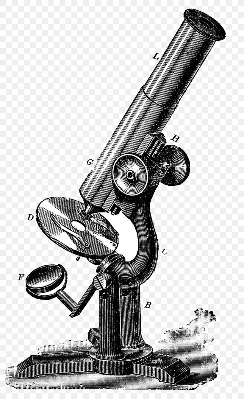 Microscope Drawing Retro Style Clip Art, PNG, 979x1600px, Microscope, Antique, Art, Black And White, Drawing Download Free
