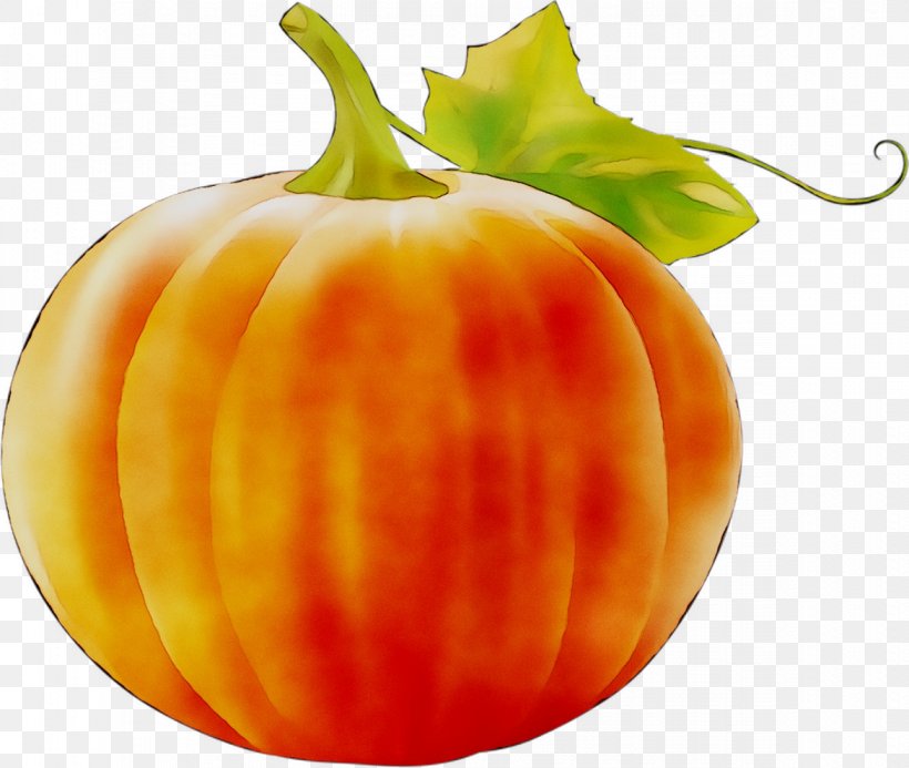 Pumpkin Gourd Calabaza Winter Squash Vegetarian Cuisine, PNG, 1171x990px, Pumpkin, Bell Peppers And Chili Peppers, Calabaza, Commodity, Diet Download Free
