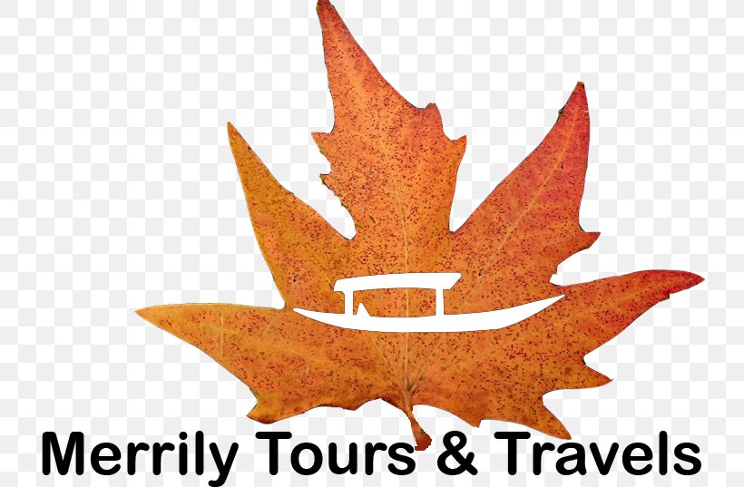 Srinagar Travel New York Jets Hotel Maple Leaf, PNG, 735x537px, Srinagar, Com, Gmail, Hotel, Jammu And Kashmir Download Free