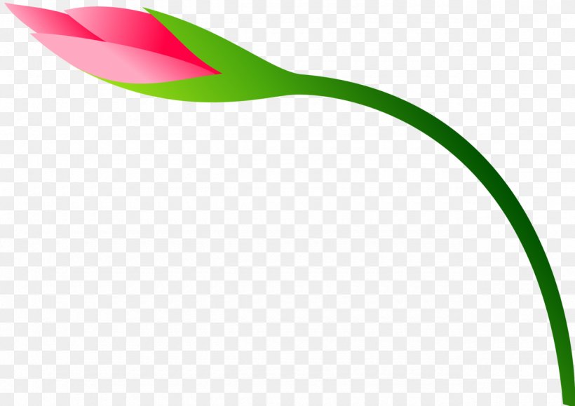 Tulip Flower Plant Stem Clip Art, PNG, 1280x904px, Tulip, Color, Flower, Flowering Plant, Grass Download Free