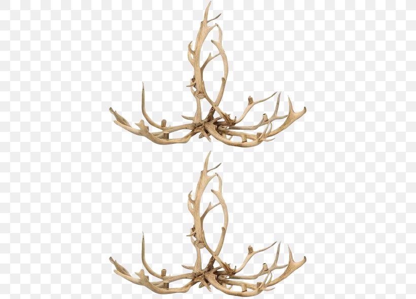 Antler Red Deer Chandelier Elk, PNG, 789x590px, Antler, Candelabra, Candle, Ceiling, Ceiling Fixture Download Free