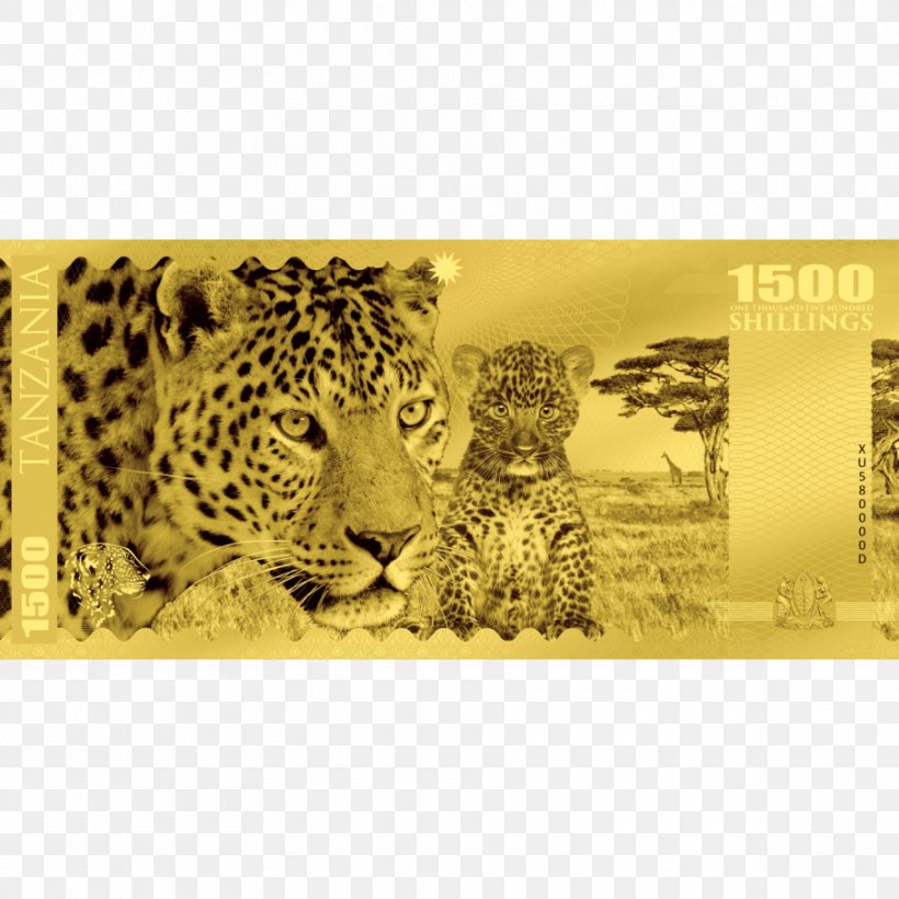 Leopard CIT Coin Invest AG Perth Mint Wild Boar, PNG, 910x910px, Leopard, Austrian Mint, Big Cats, Big Five Game, Bullion Download Free