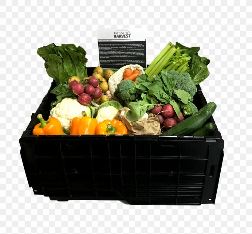 Organic Food Greens Natural Foods Vegetarian Cuisine, PNG, 2385x2219px, Organic Food, Basket, Cuisine, Diet Food, Eating Download Free