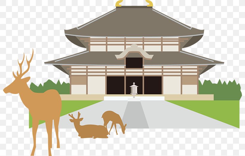 Tōdai-ji Kōfuku-ji Daibutsu Temple Kasuga-taisha, PNG, 800x521px, Daibutsu, Deer, Facade, Home, Horse Like Mammal Download Free
