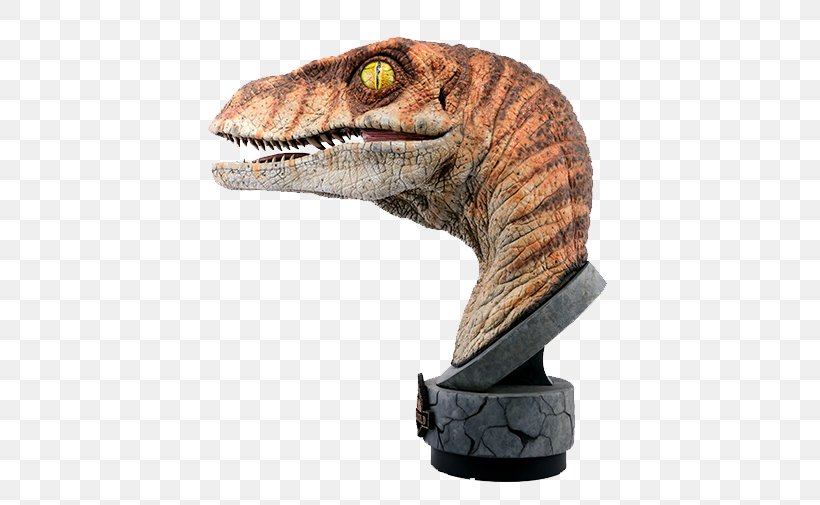 Velociraptor The Lost World Bust Tyrannosaurus YouTube, PNG, 505x505px, Velociraptor, Bust, Dinosaur, Jurassic Park, Jurassic Park Iii Download Free