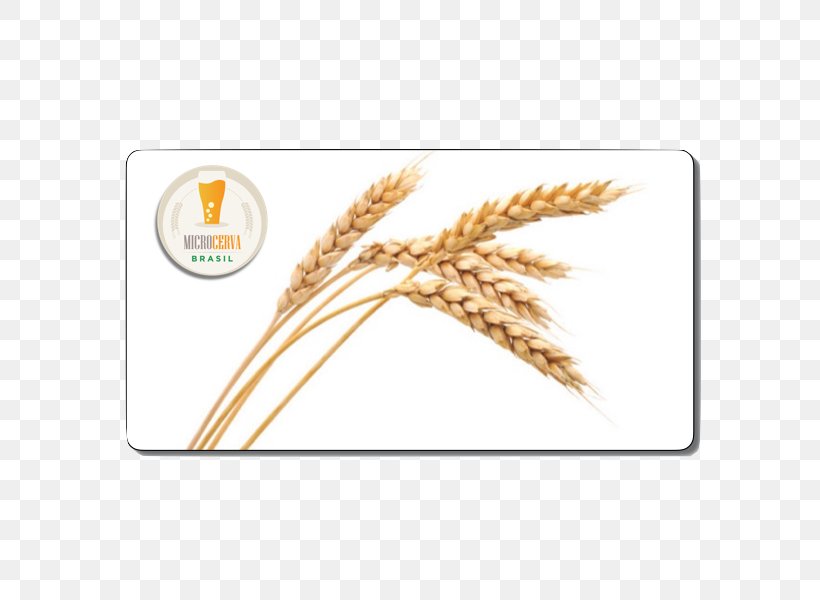 Wheat Beer Common Wheat Grodziskie Cereal, PNG, 600x600px, Beer, Cereal, Cereal Germ, Commodity, Common Wheat Download Free