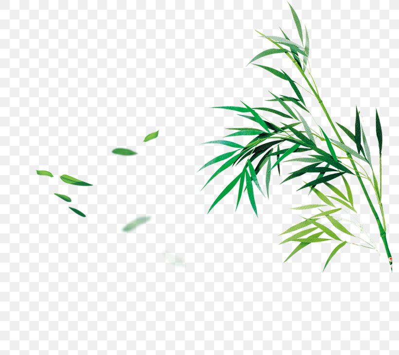 Bamboo Bamboe Computer File, PNG, 793x730px, Bamboo, Bamboe, Bamboo Textile, Drawing, Grass Download Free