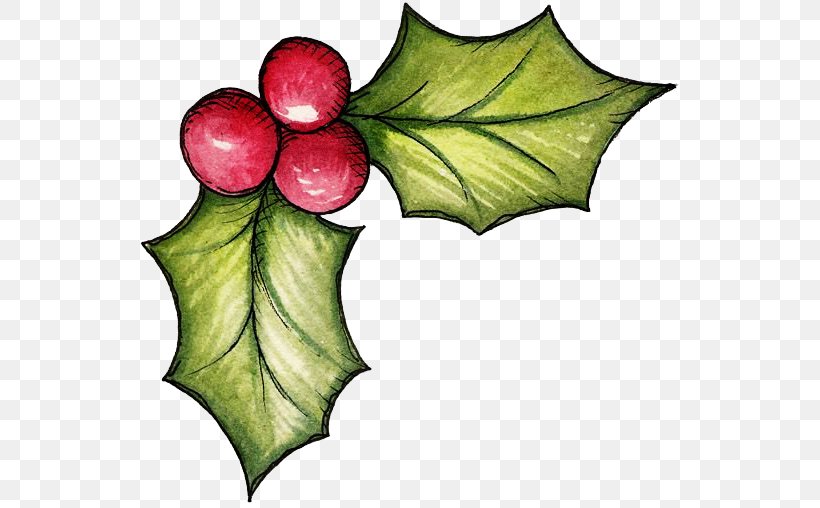 Christmas Mistletoe Clip Art, PNG, 543x508px, Christmas, Aquifoliaceae, Candy Cane, Coloring Book, Decoupage Download Free
