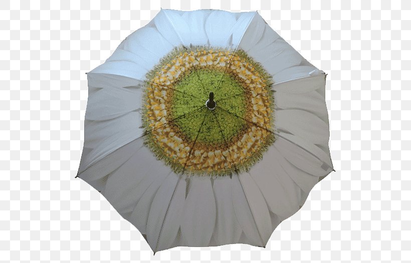 Umbrella White Flower Garden Waterproofing, PNG, 536x525px, Umbrella, Brand, Canopy, Color, Common Daisy Download Free