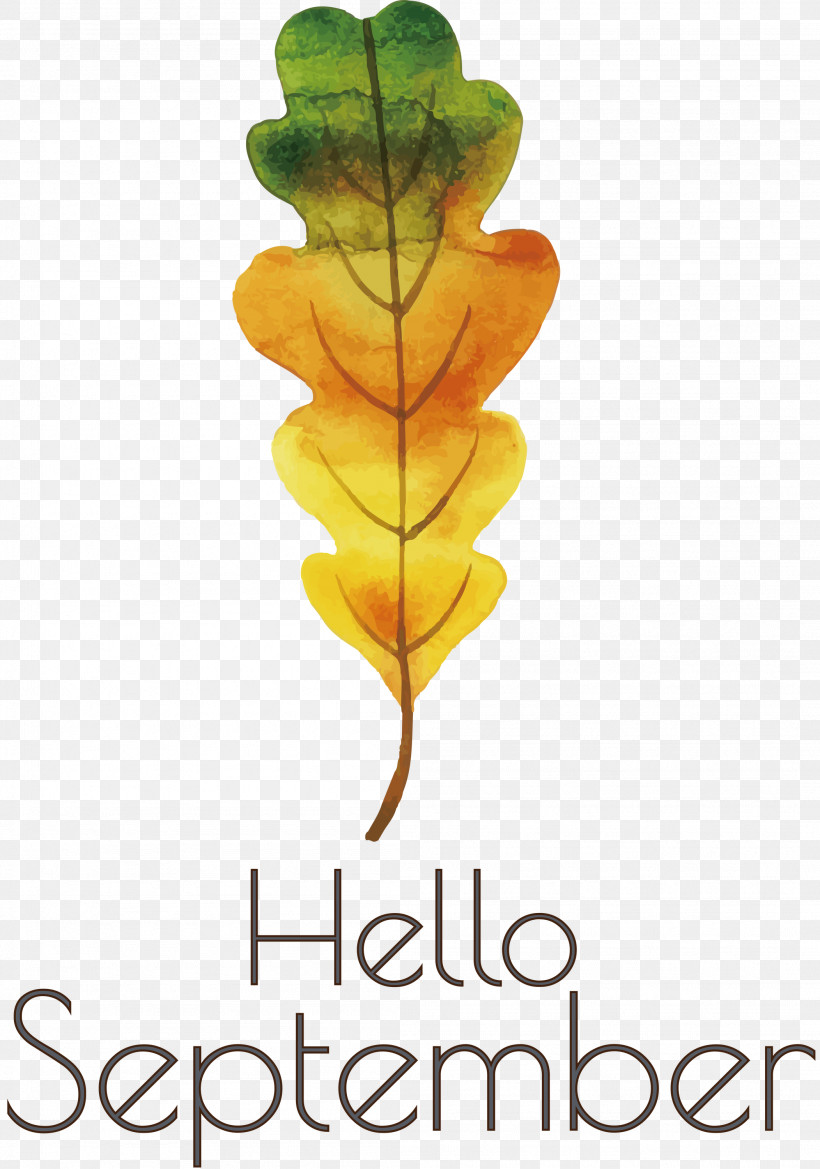 Hello September September, PNG, 2103x3000px, Hello September, Cartoon, Drawing, Flower, Logo Download Free