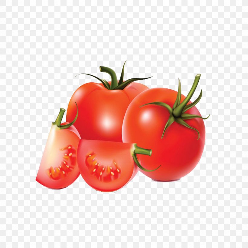 Tomato Vegetable Drawing, PNG, 2362x2362px, Tomato, Bush Tomato, Diet Food, Drawing, Food Download Free
