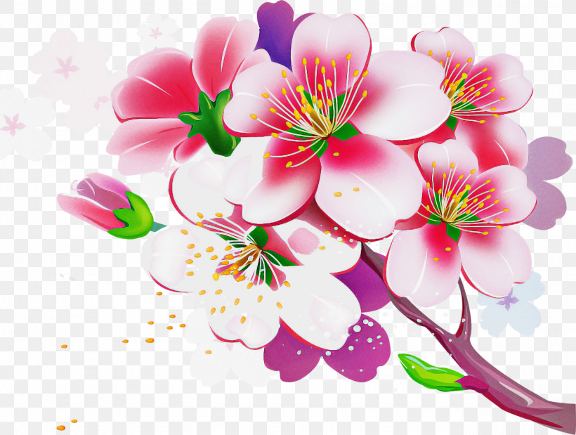 Cherry Blossom, PNG, 1280x967px, Flower, Blossom, Branch, Cherry Blossom, Cut Flowers Download Free