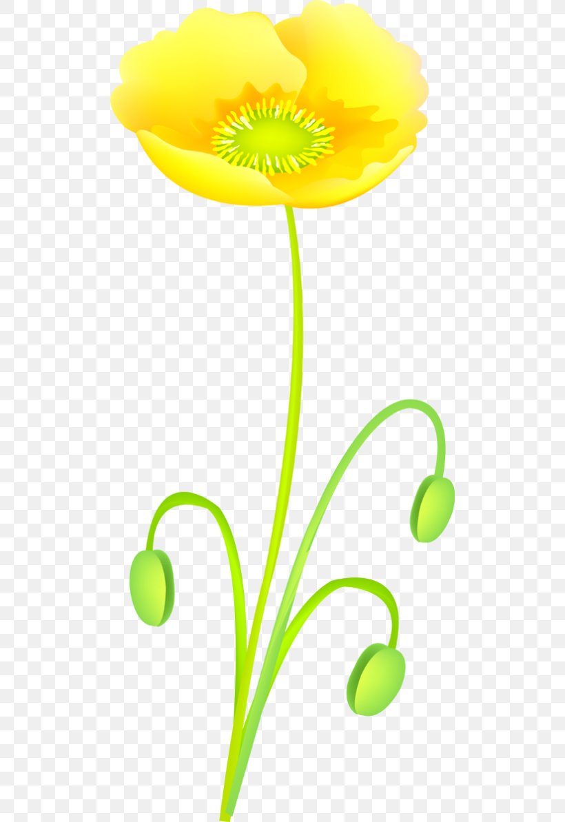 Flower Petal Google Images Clip Art, PNG, 500x1193px, Flower, Advertising, Blume, Flora, Flowering Plant Download Free