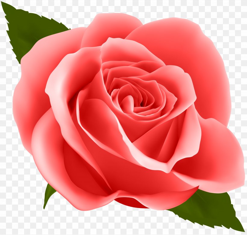 Flower Rose Clip Art, PNG, 8000x7628px, Rose, Blue Rose, Cdr, China Rose, Close Up Download Free