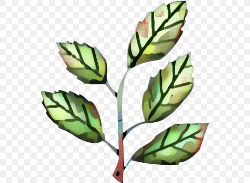 Leaf Branch, PNG, 554x600px, Leaf, Branch, Flower, Plant, Plant Stem Download Free