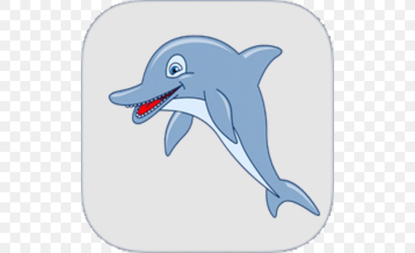Common Bottlenose Dolphin Tucuxi Short-beaked Common Dolphin Rough-toothed Dolphin Wholphin, PNG, 500x500px, Common Bottlenose Dolphin, Beak, Biology, Bottlenose Dolphin, Cartoon Download Free