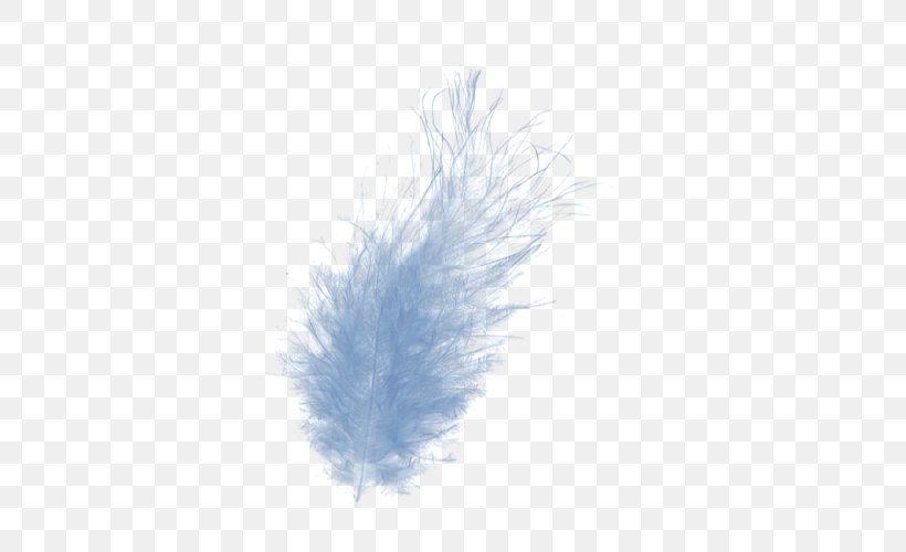 Feather, PNG, 500x500px, Feather Download Free