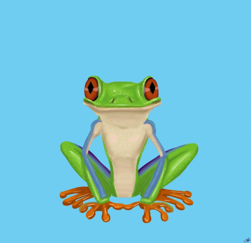 Red-eyed Tree Frog The Tree Frog Drawing, PNG, 1280x1239px, Frog, Agalychnis, Amphibian, Animal, Art Download Free