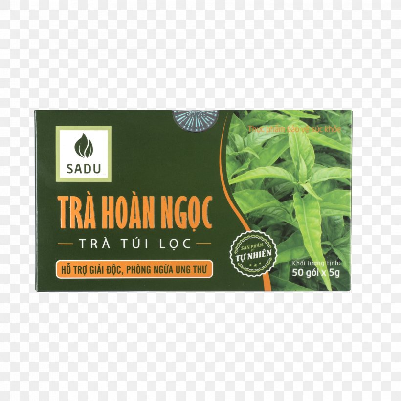 Tea Herb Nông Nghiệp Công Nghệ Cao Shop Rừng Vàng Root, PNG, 3363x3363px, Tea, Brand, Cancer, Detoxification, Disease Download Free