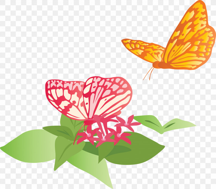 Butterfly Flowers, PNG, 3000x2634px, Butterfly, Anthurium, Flower, Flowers, Insect Download Free