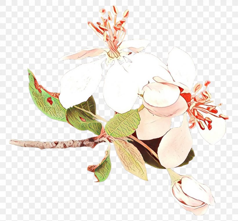 Flower Plant Leaf Blossom Twig, PNG, 1200x1117px, Cartoon, Blossom, Flower, Leaf, Plant Download Free