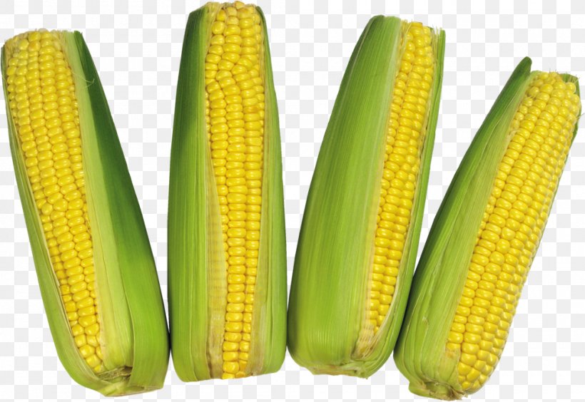 Maize Sweet Corn Corn On The Cob Clip Art, PNG, 1000x689px, Maize, Commodity, Corn Kernels, Corn Nut, Corn On The Cob Download Free