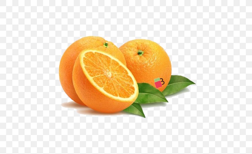 Orange Juice Grapefruit Vegetable, PNG, 502x502px, Orange, Bitter Orange, Chenpi, Citric Acid, Citrus Download Free